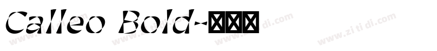 Calleo Bold字体转换